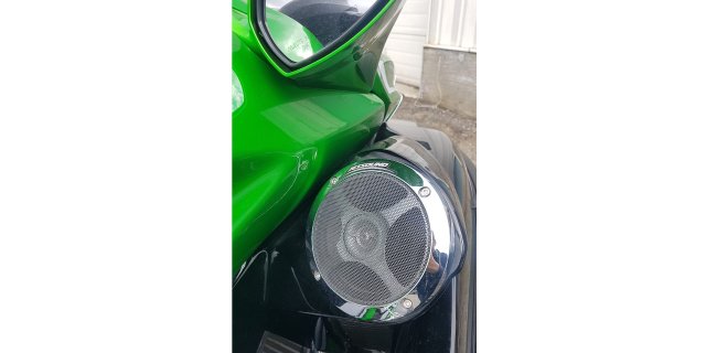 2017 Kawasaki 310LX
